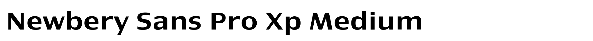Newbery Sans Pro Xp Medium image